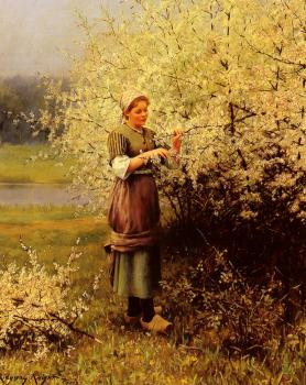 Louis Aston Knight : Spring Blossoms